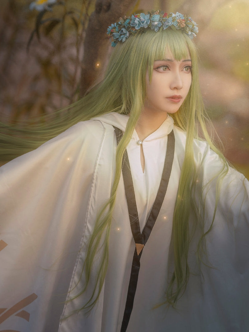 【Fate Grand Order】Enkidu Cosplay Costume Full Set